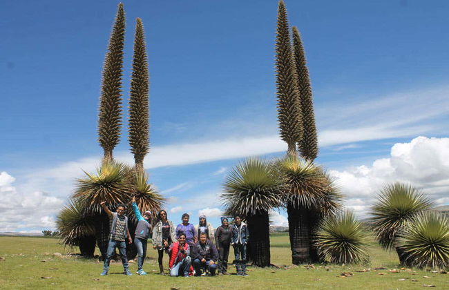 Vilcashuamán and Pumacocha Day Trip - Foto 1