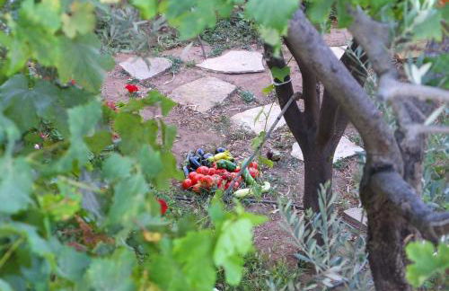 Tiki Rooms - Foto 47