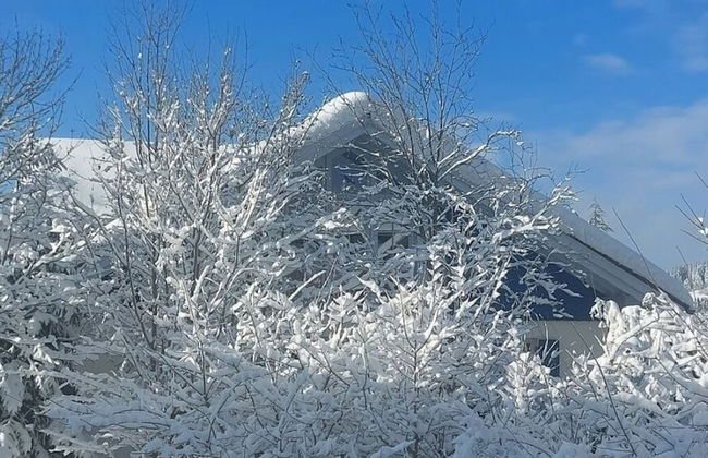 Kirsch Comfortable Holiday Residence - Photo 33