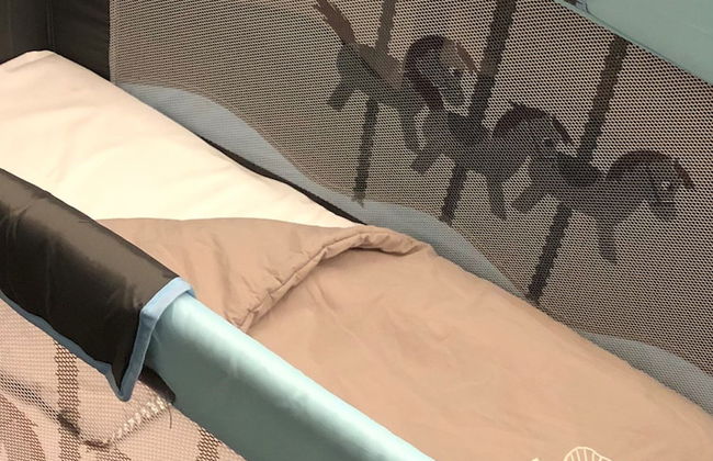 Fraser Suites Geneva - Foto 17