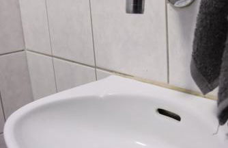 Schwarzwald-Idylle in Triberg - Foto 32