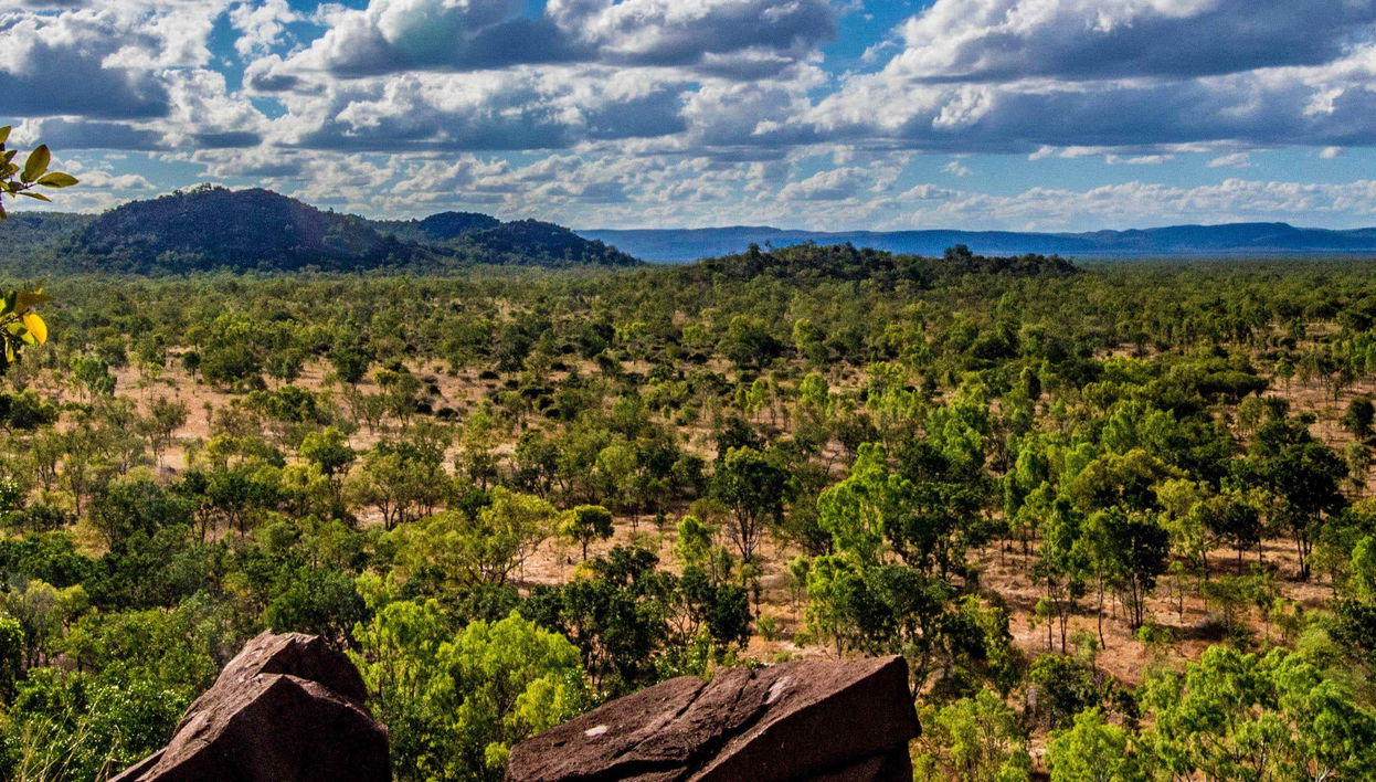 Outback & Chillagoe Day Trip - Foto 2