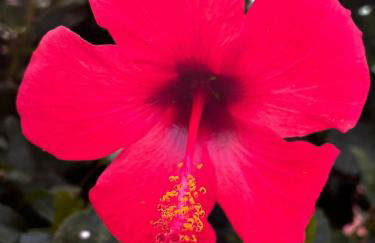 sunset apartment - Foto 41