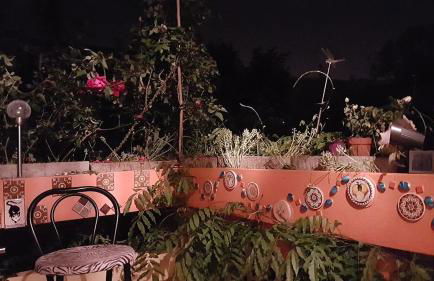 Green house, cosy garden Paris - Foto 39