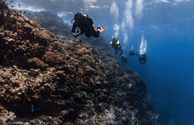 BADLADZ Staycation Condos - Foto 64