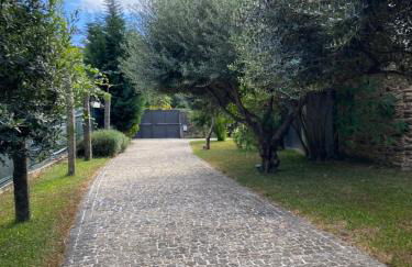 Quinta do Senhor - Foto 8