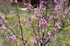 Isora - La Retrinca - Foto 4