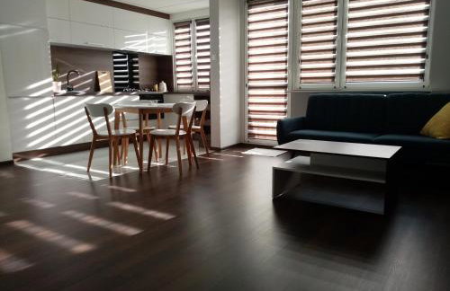 Lagan Apartament - Foto 8