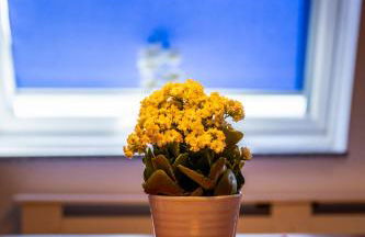 Renatas Ferienwohnung Sasbachwalden - Foto 32