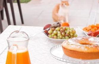 Quintal do Grémio - Casa - Foto 16