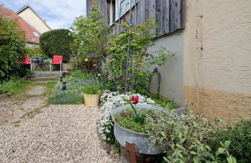 Bikerhäusle - Foto 21