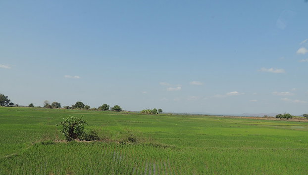 Marofandilia Private Reserve - Foto 3