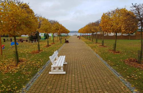 Aparthotel EuforiaPort - Foto 3