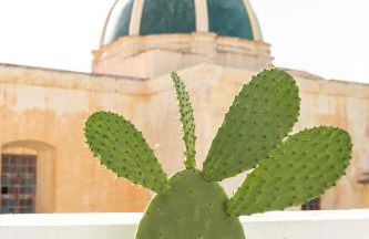 LE CASE DEL FICO D'INDIA FAVIGNANA - Foto 37