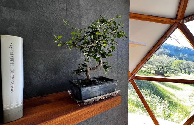 Domocantabria - Foto 5