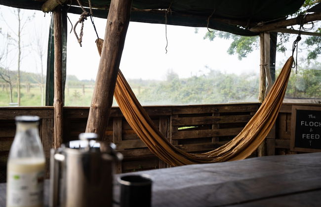 Overe - The Farm Camp - Foto 8