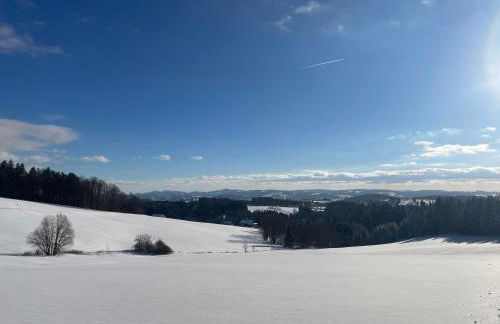Große Ferienwohnung Hundertwasser am Dreisessel in Altreichenau - Foto 55