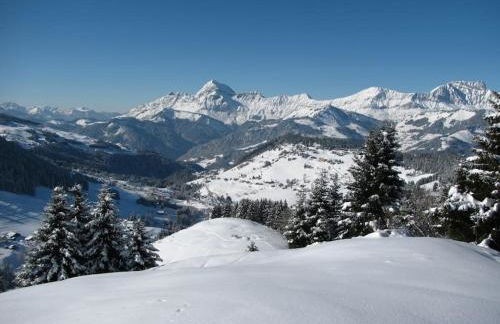 Chalet Le Wapiti, aux pieds des pistes, à 200m du village - Foto 32