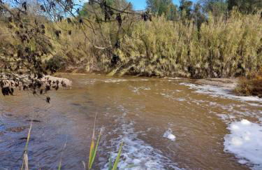 "Casa Oliveiras" studio avec terrasse et piscine - Foto 30