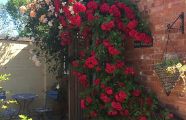 Rose cottage - Photo 1