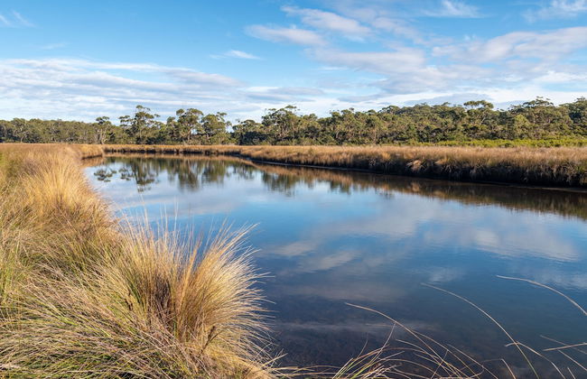 Cloudy Creek Cottage - Foto 8