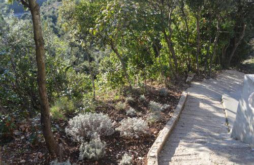 Robinson house Orlandusa - Foto 33