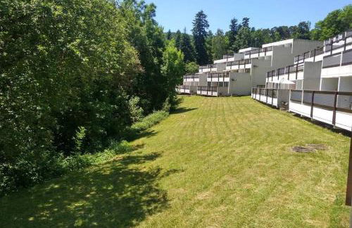 Studio au cœur des Volcans d Auvergne - Murol - Foto 6