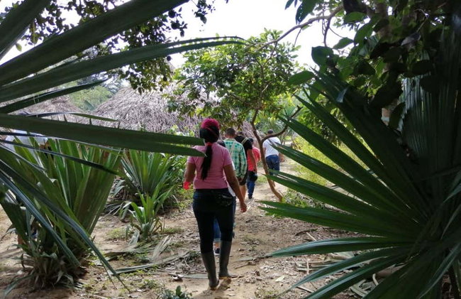 Excursión a una comunidad indígena Kogui - Foto 4