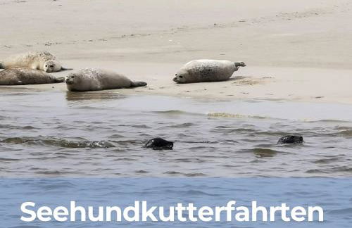 Ferienhaus Oll Smee 9 - Huus Twee mit eingezäunten Garten, Weitblick, Kamin und Strandkorb - Photo 14