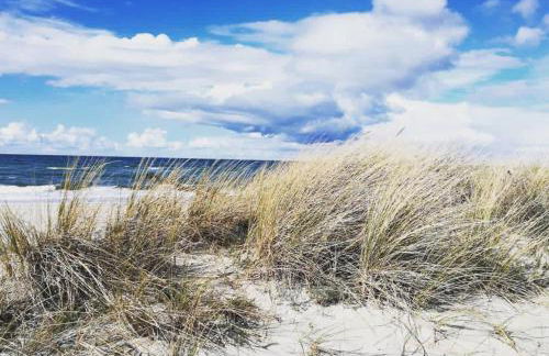 Ferienwohnungen Haus Sommerlust - Foto 48