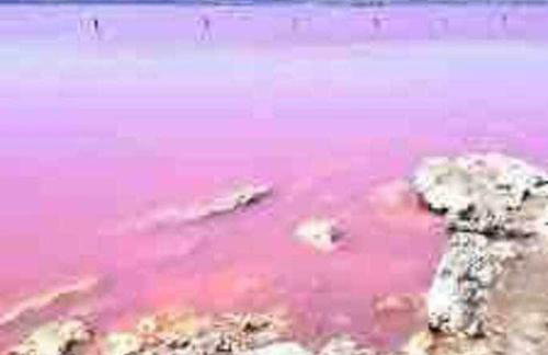 Apartment Pink Salt Lake - Photo 42