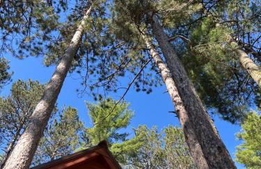 Cabin Retreat with Sauna Trails and Lake Access - Foto 10