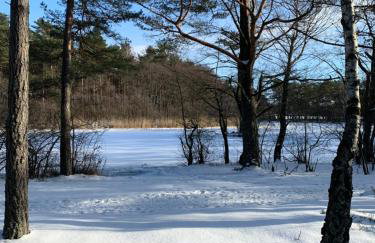 Pogodny domek Kopalino z balią - Foto 27