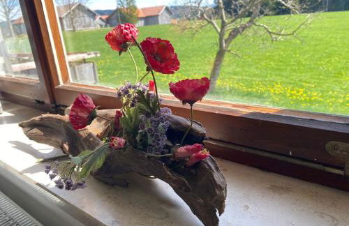 Ferienhof Steingaden - Foto 24