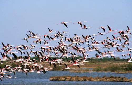Entre mer et garrigue - Foto 77