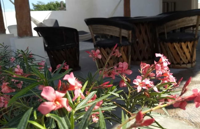 MIO Tulum Hotel Boutique - Photo 50