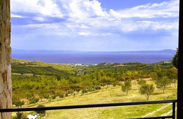 Κτήμα Verde - Foto 38