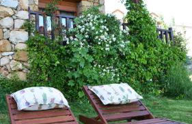 Casa del Altozano - Foto 14