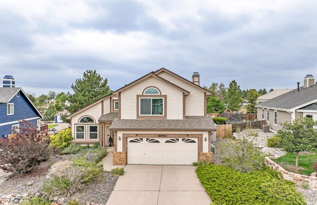 Shirley's Temple - Foto 38