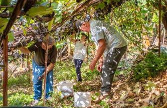 Casas da Luz by Homie - Foto 60