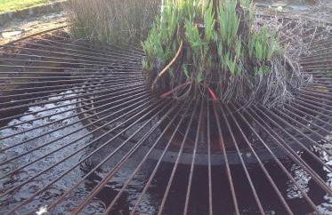 Idyllic Country Cottage South Downs - Photo 8