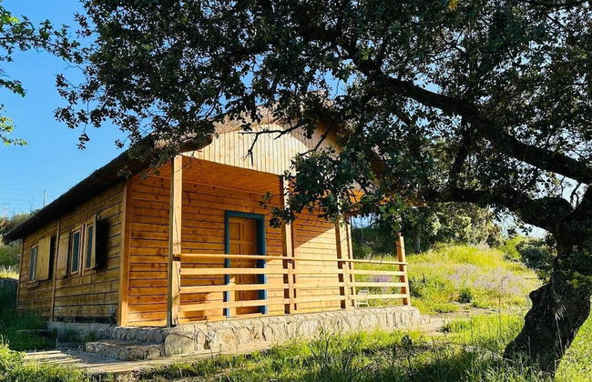 Hamlet's Friends - Foto 51