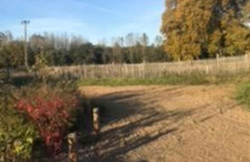 Gîte charmant près du circuit du Mans, 12 pers., 5 ch., rénové avec 3 sdb, nature et attractions proches - FR-1-410-342 - Foto 5