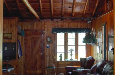 Lake Access! Twin Birch Resort - The Brown Bear - Foto 17