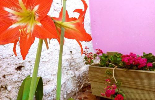 Villa Ágape - Chapada dos Veadeiros - Foto 19