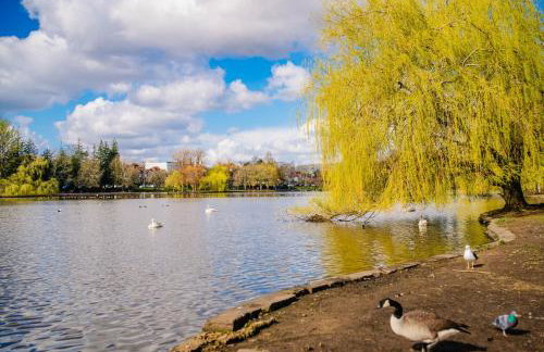 Spacious 2BR 1Bath with Free Street Parking & Close to Roath Park Landmark - Foto 25