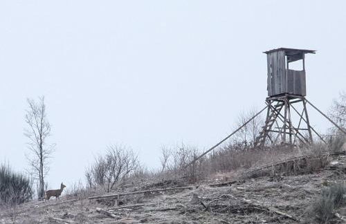 Ferienwohnung im Schwedenhaus - Foto 21