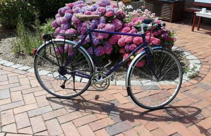 Best of Kollmar - Apartment mit Terrasse für 2 Personen absolut ruhig - Foto 34