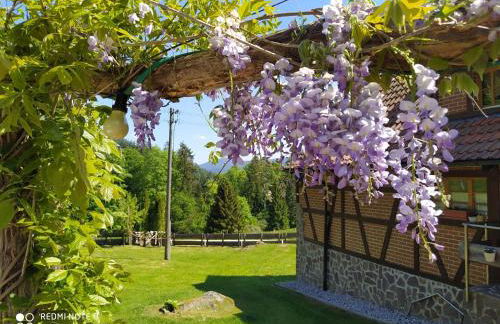 Forsthaus Trabronn | Sauna | eingezäunt | Grillplatz - Photo 63