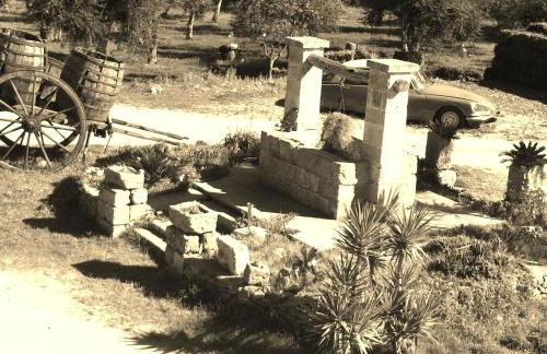 Agriturismo La Crianza - Foto 23